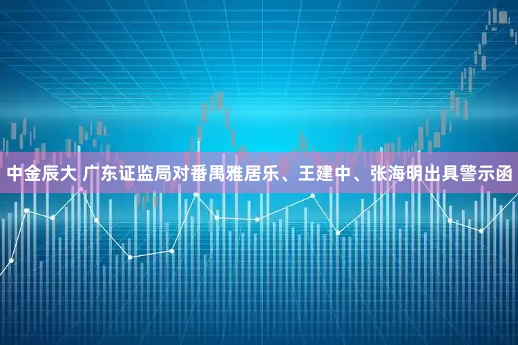 中金辰大 广东证监局对番禺雅居乐、王建中、张海明出具警示函
